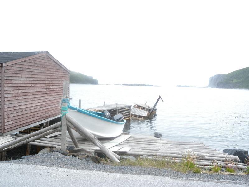 Wildberry Country Lodge B&B St. Anthony Eksteriør bilde